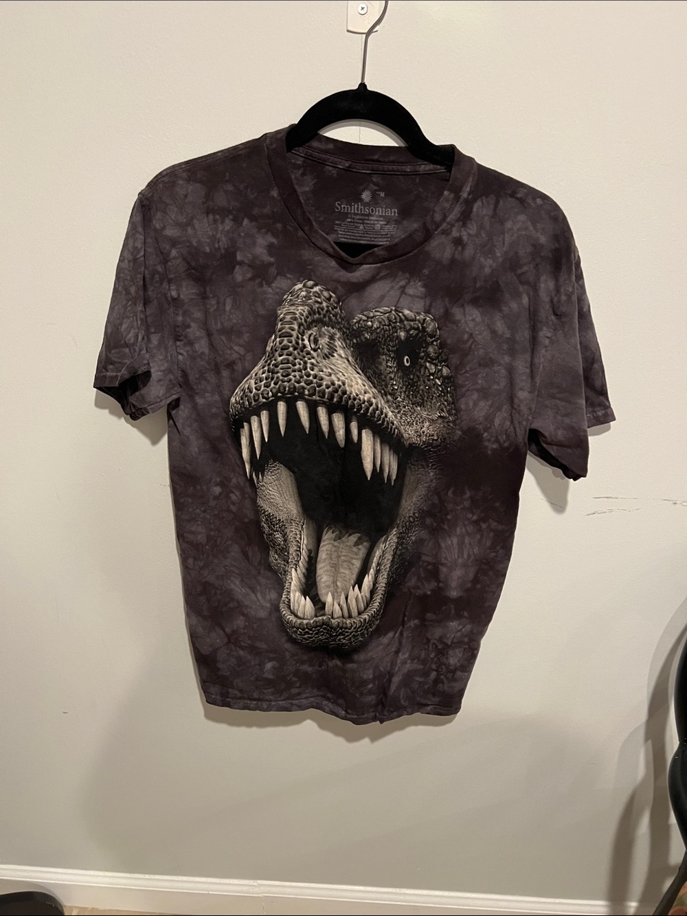 Smithsonian T-Rex Graphic Tee in Charcoal
